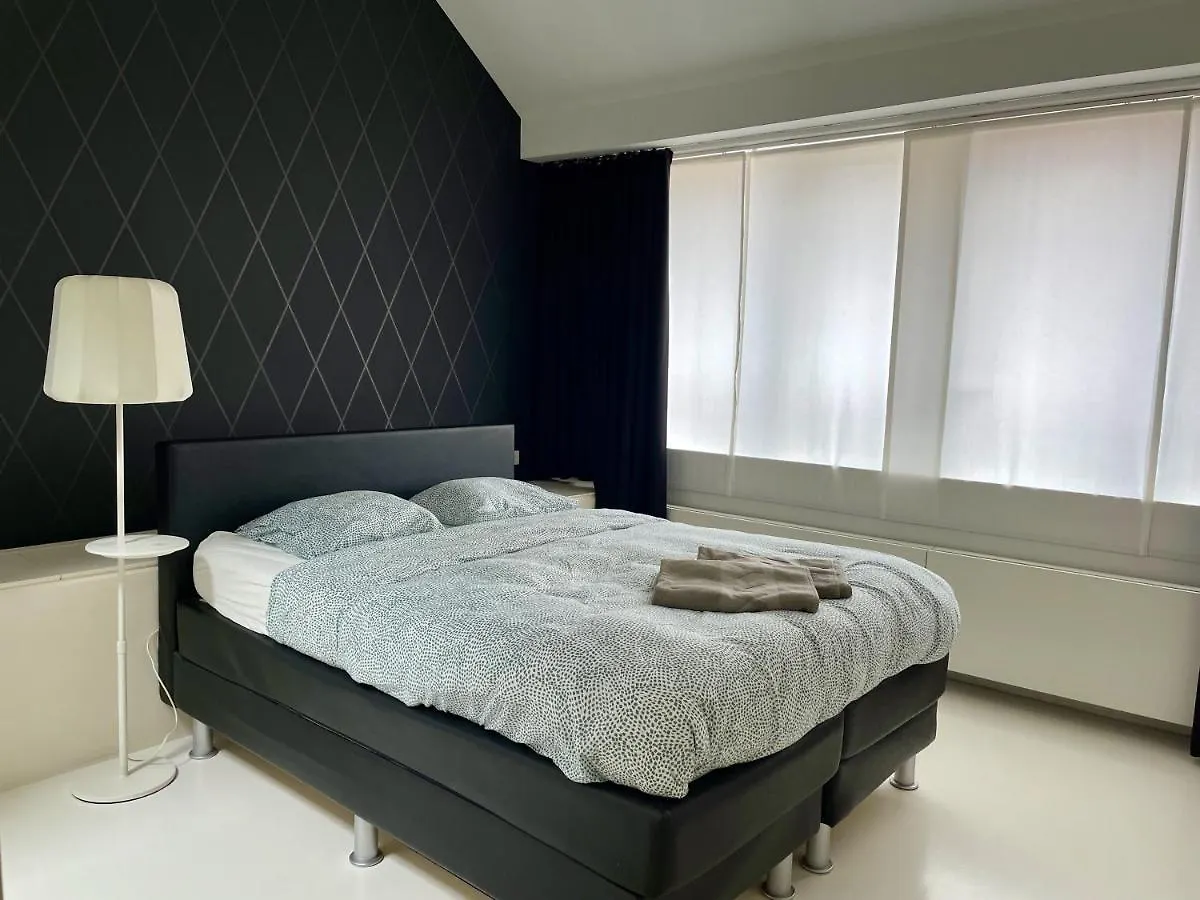 Luxurious accommodation during Tomorrowland! Hemiksem Villa